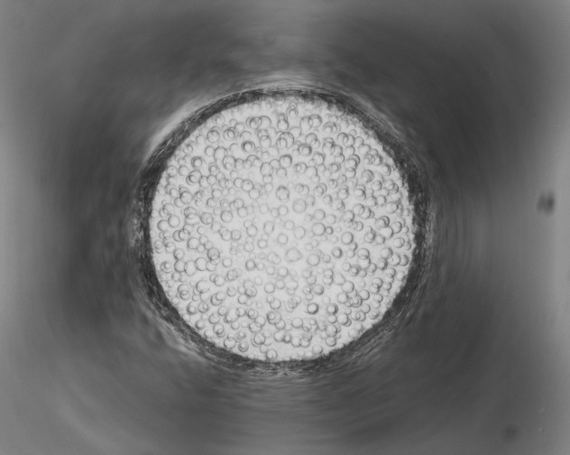 X0000114991400200912071107