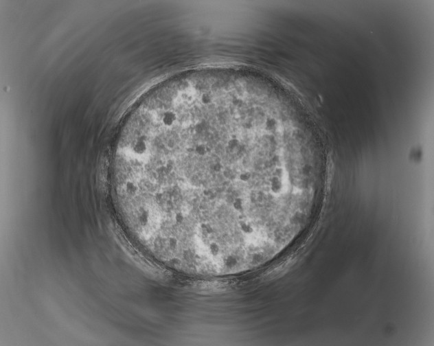 X0000114991401200912071107