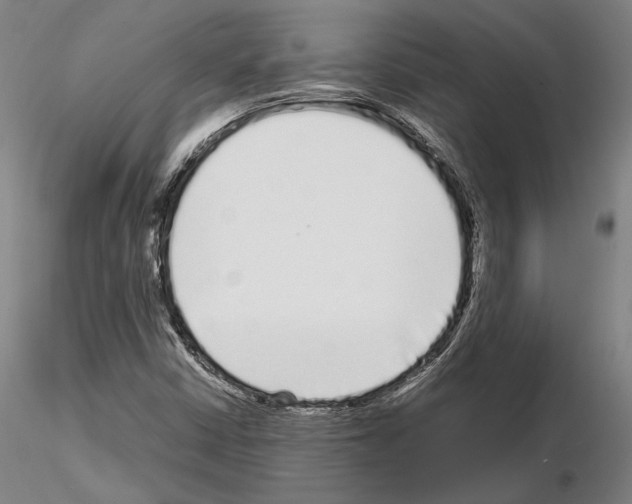 X0000114991402200912071107