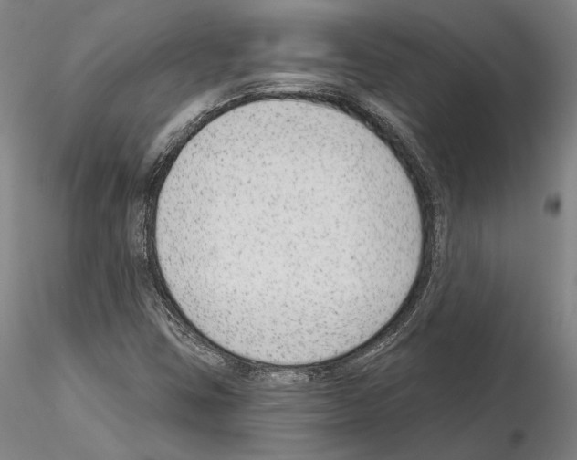 X0000114991403200912071107