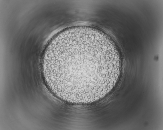 X0000114991404200912071107