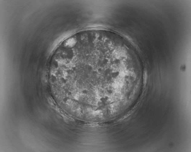 X0000114991405200912071107