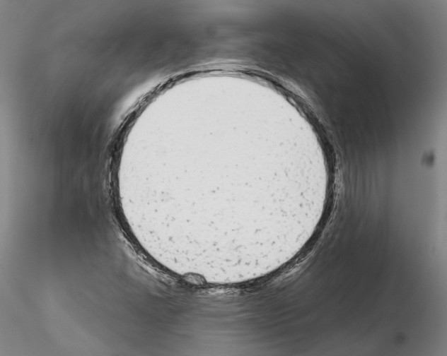 X0000114991406200912071107