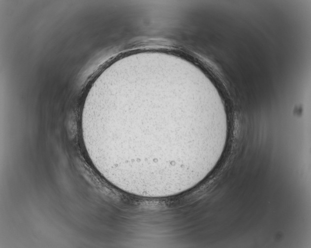 X0000114991407200912071107