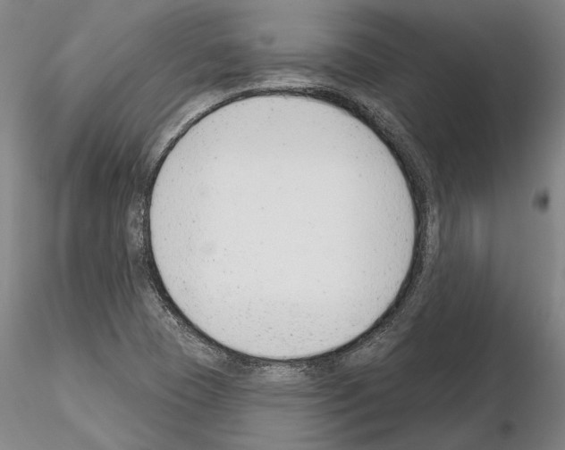 X0000114991409200912071107