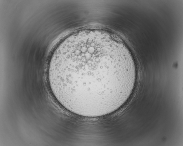 X0000114991410200912071107