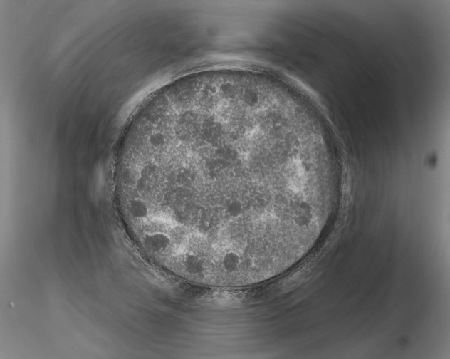 X0000114991411200912071107