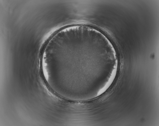 X0000114991414200912071107