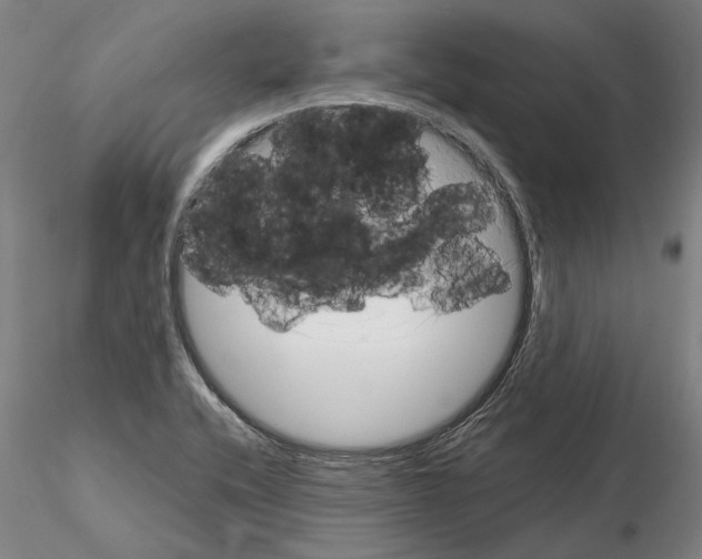 X0000114991416200912071107