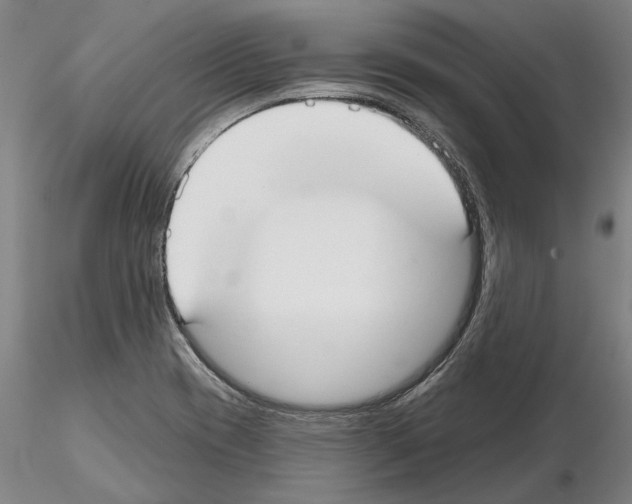 X0000114991417200912071107