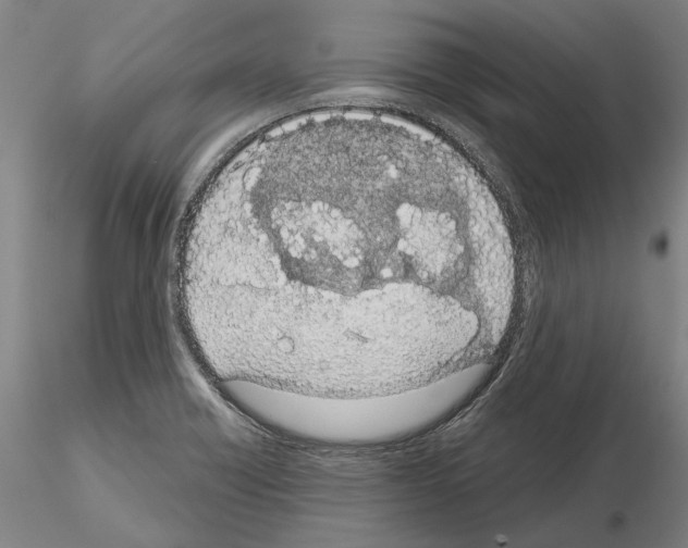 X0000114991418200912071107