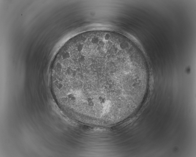 X0000114991419200912071107