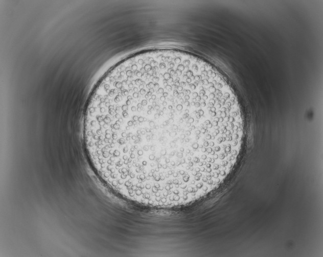 X0000114991420200912071107