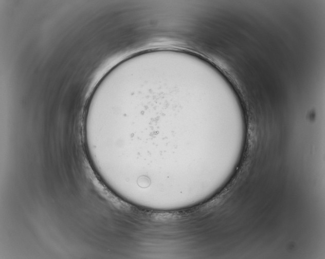 X0000114991421200912071107