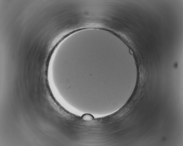 X0000114991422200912071107