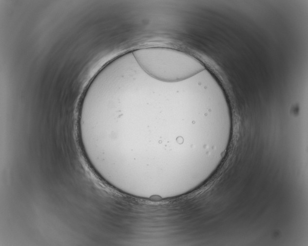 X0000114991423200912071107