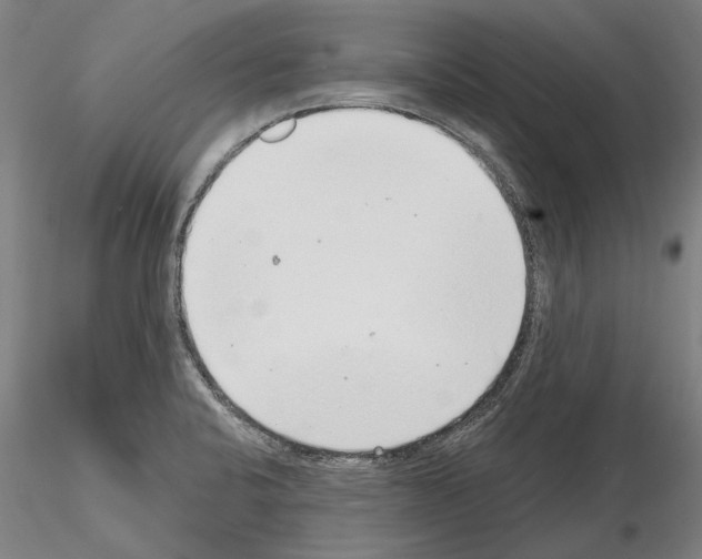 X0000114991424200912071107