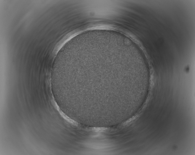 X0000114991425200912071107