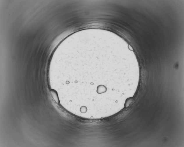 X0000114991426200912071107