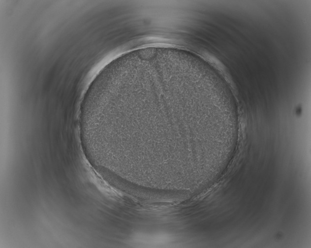 X0000114991427200912071107