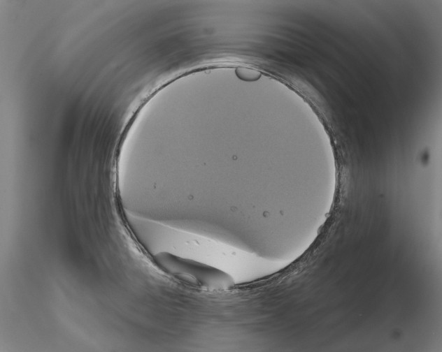 X0000114991428200912071107