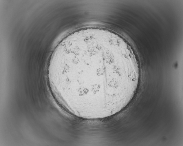 X0000114991429200912071107