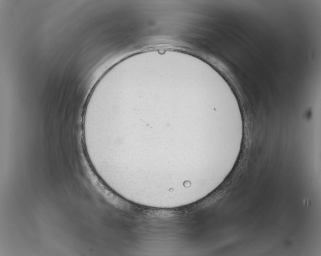 X0000114991431200912071107