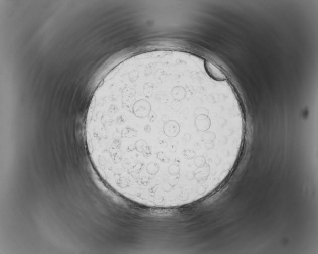 X0000114991433200912071107