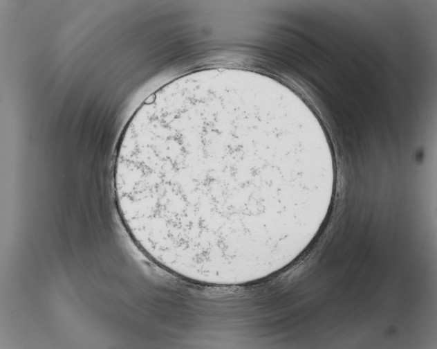 X0000114991434200912071107