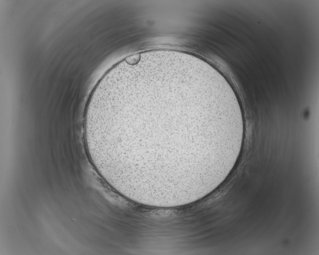 X0000114991435200912071107