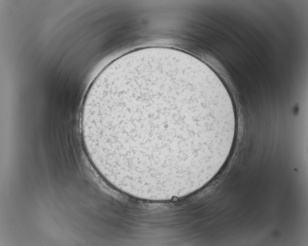 X0000114991436200912071107