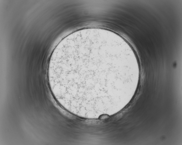 X0000114991437200912071107