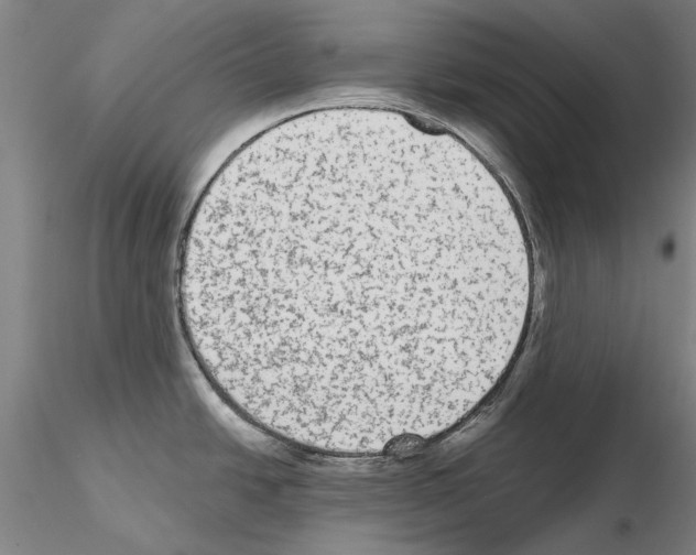 X0000114991438200912071107