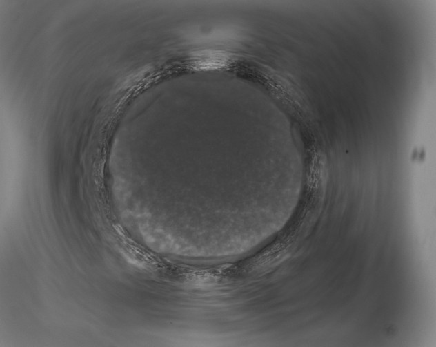 X0000114991441200912071107