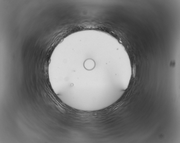 X0000114991444200912071107