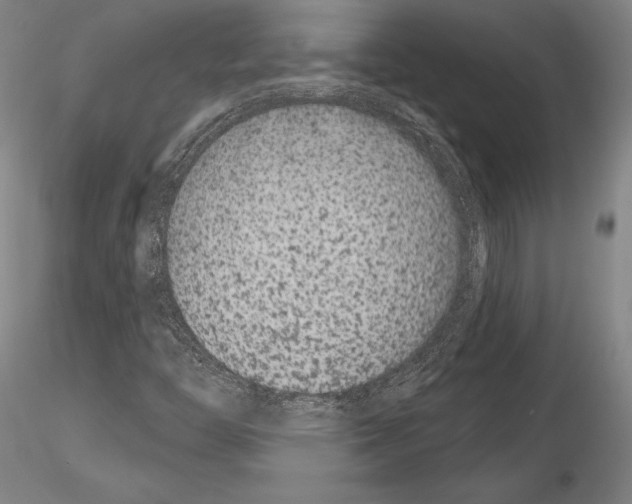 X0000114991446200912071106