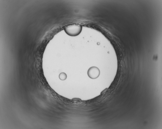 X0000114991447200912071106