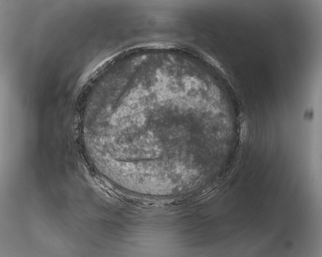 X0000114991448200912071106