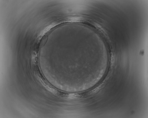 X0000114991449200912071106