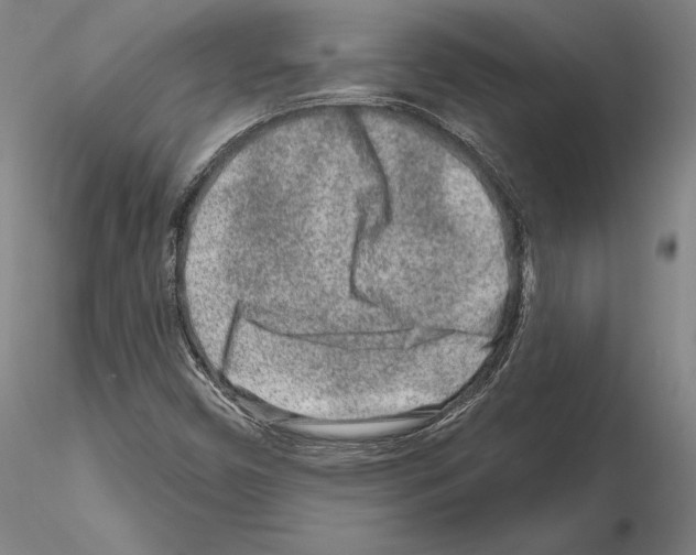 X0000114991450200912071106