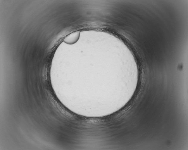 X0000114991451200912071106