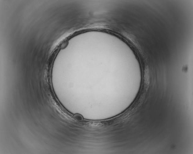 X0000114991452200912071106