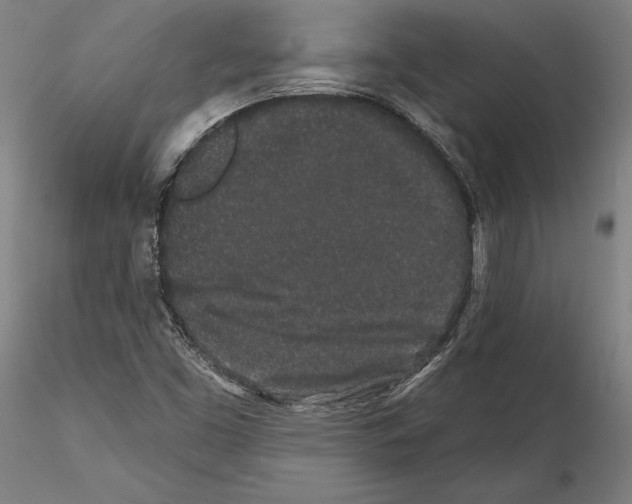 X0000114991453200912071106