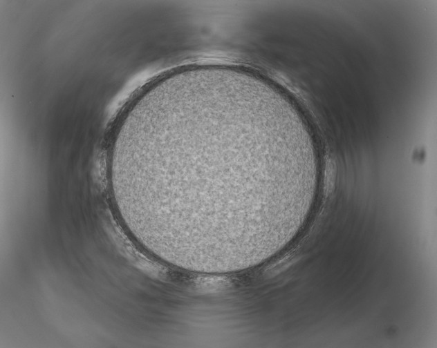 X0000114991454200912071106