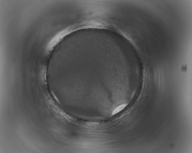 X0000114991455200912071106