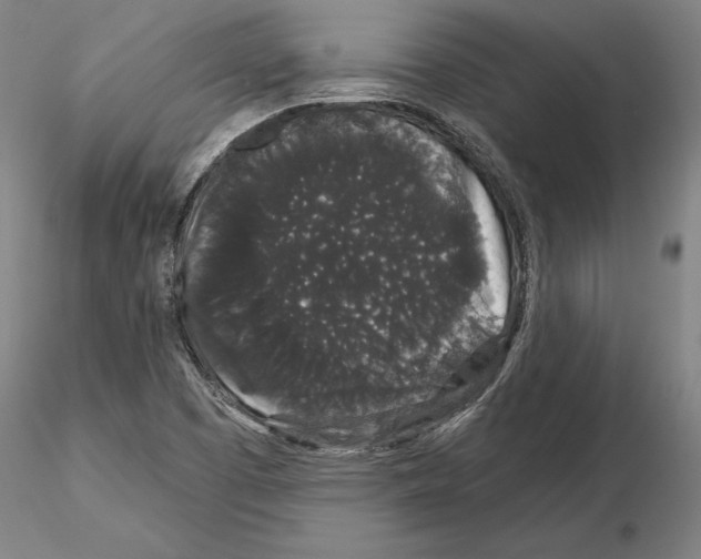 X0000114991457200912071106