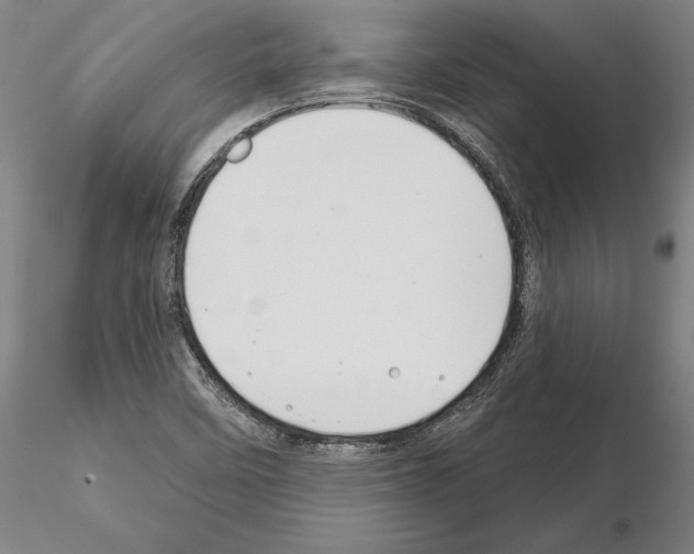 X0000114991458200912071106