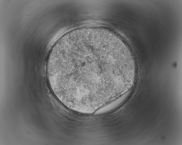 X0000114991459200912071106