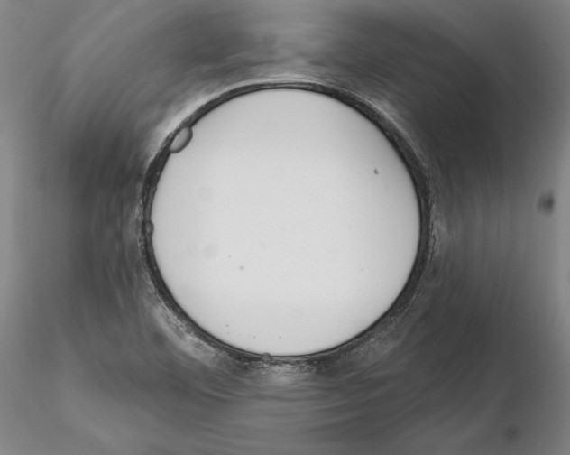 X0000114991460200912071106