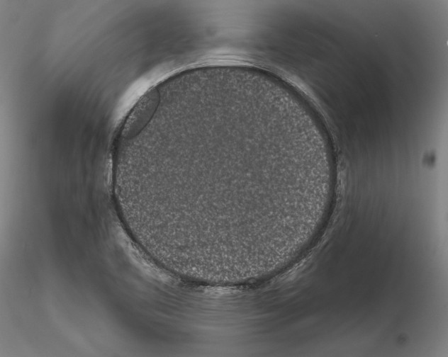 X0000114991461200912071106